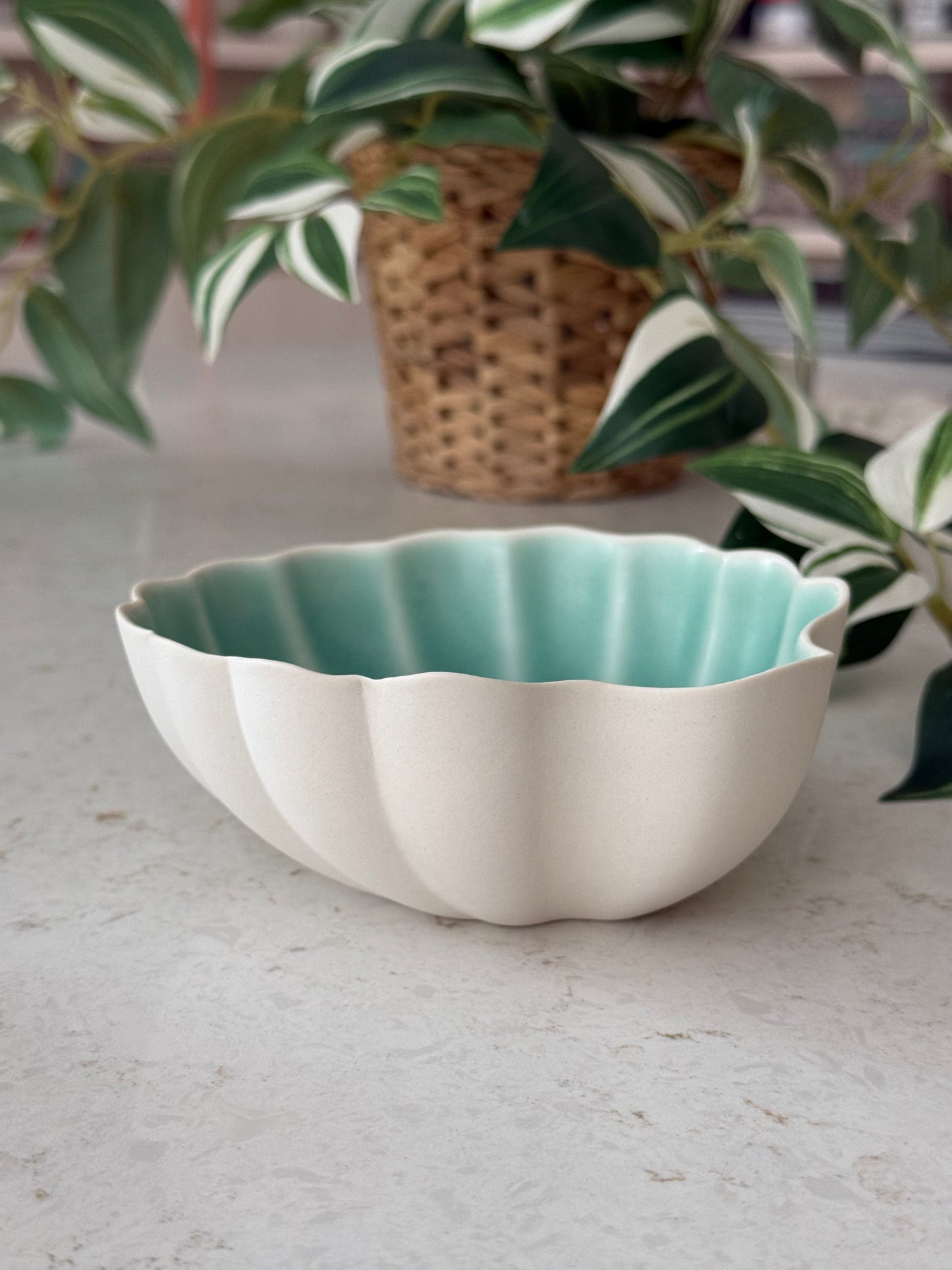 Oyster Bowl