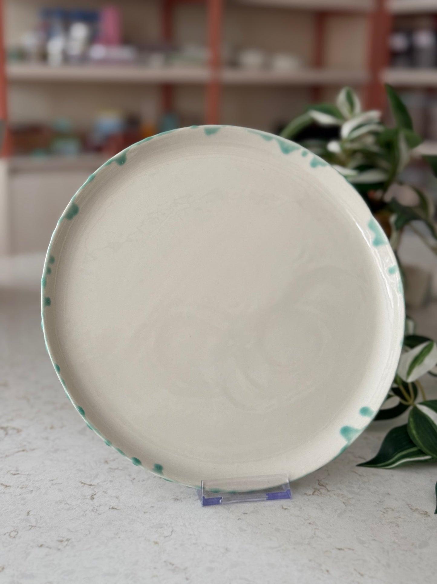 Dinner Plate