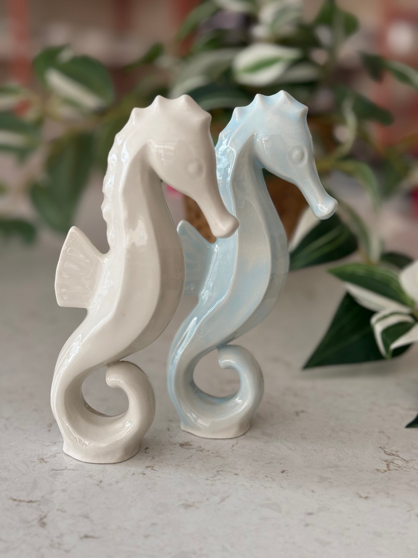 Seahorses