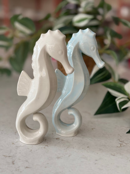 Seahorses