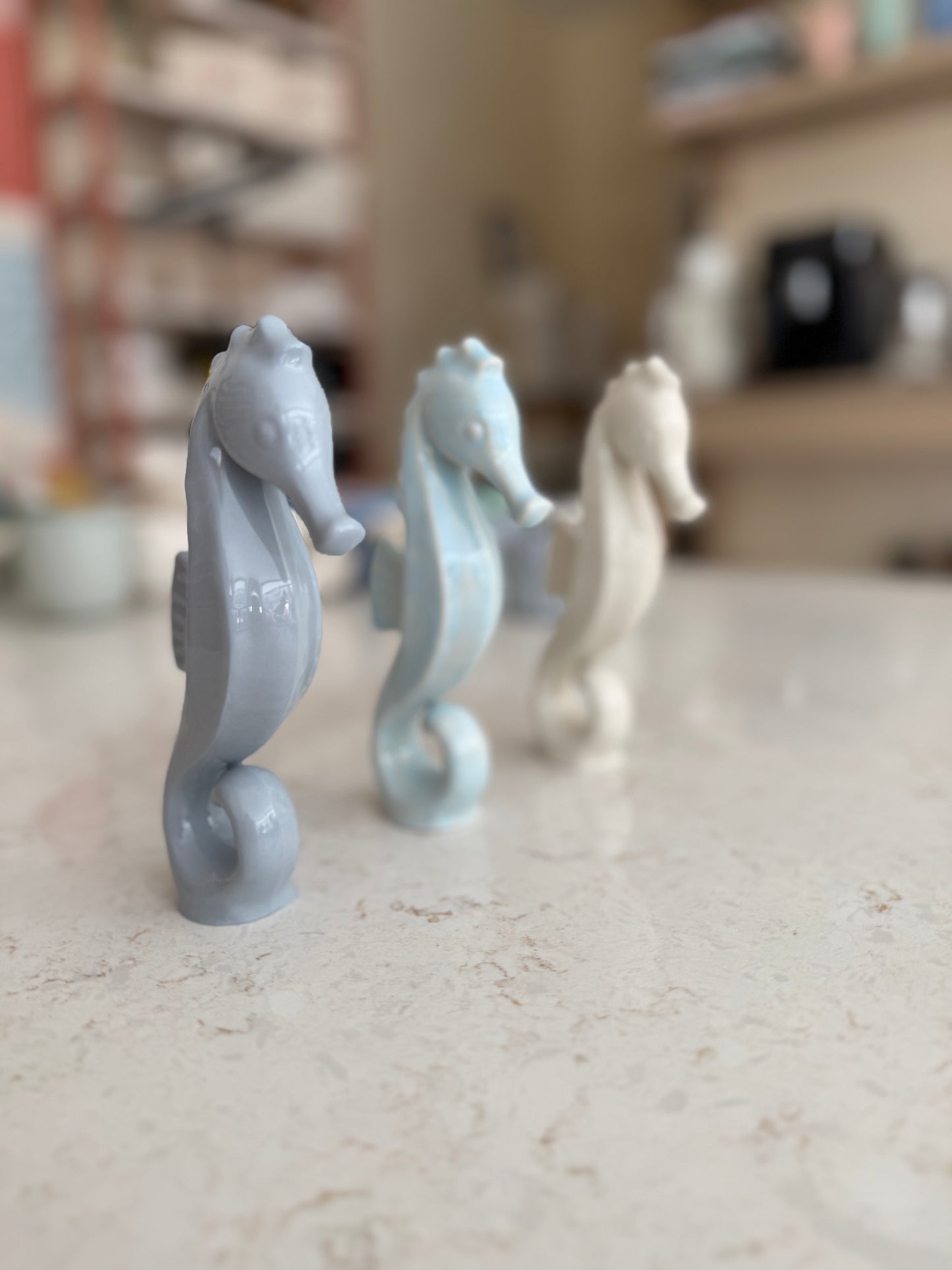 Seahorses