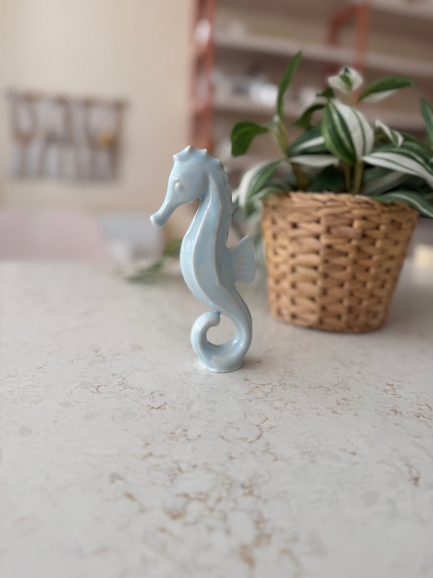 Seahorses