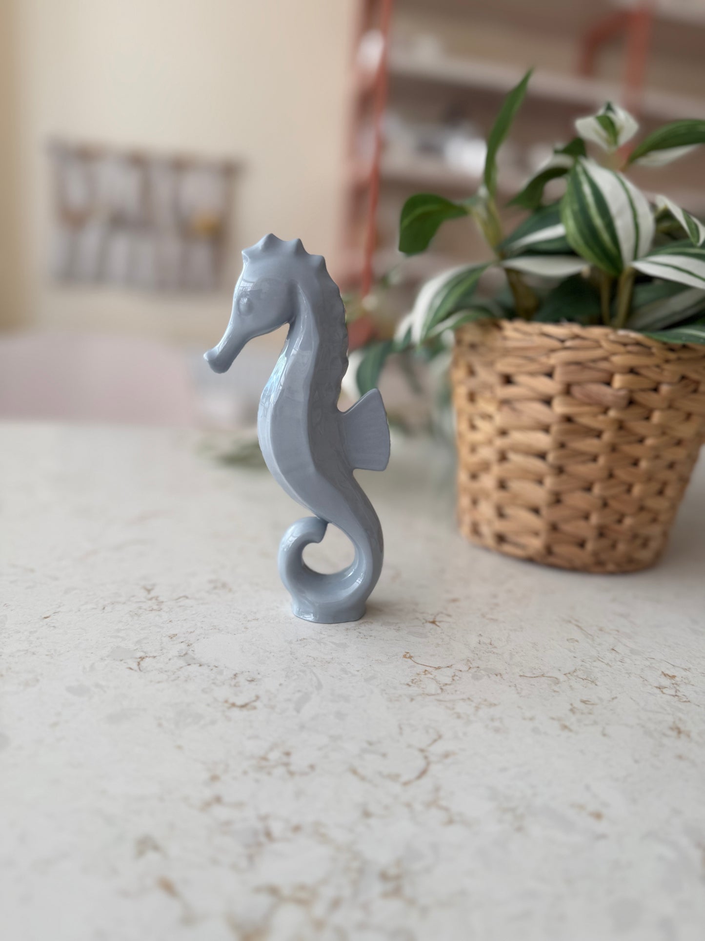 Seahorses