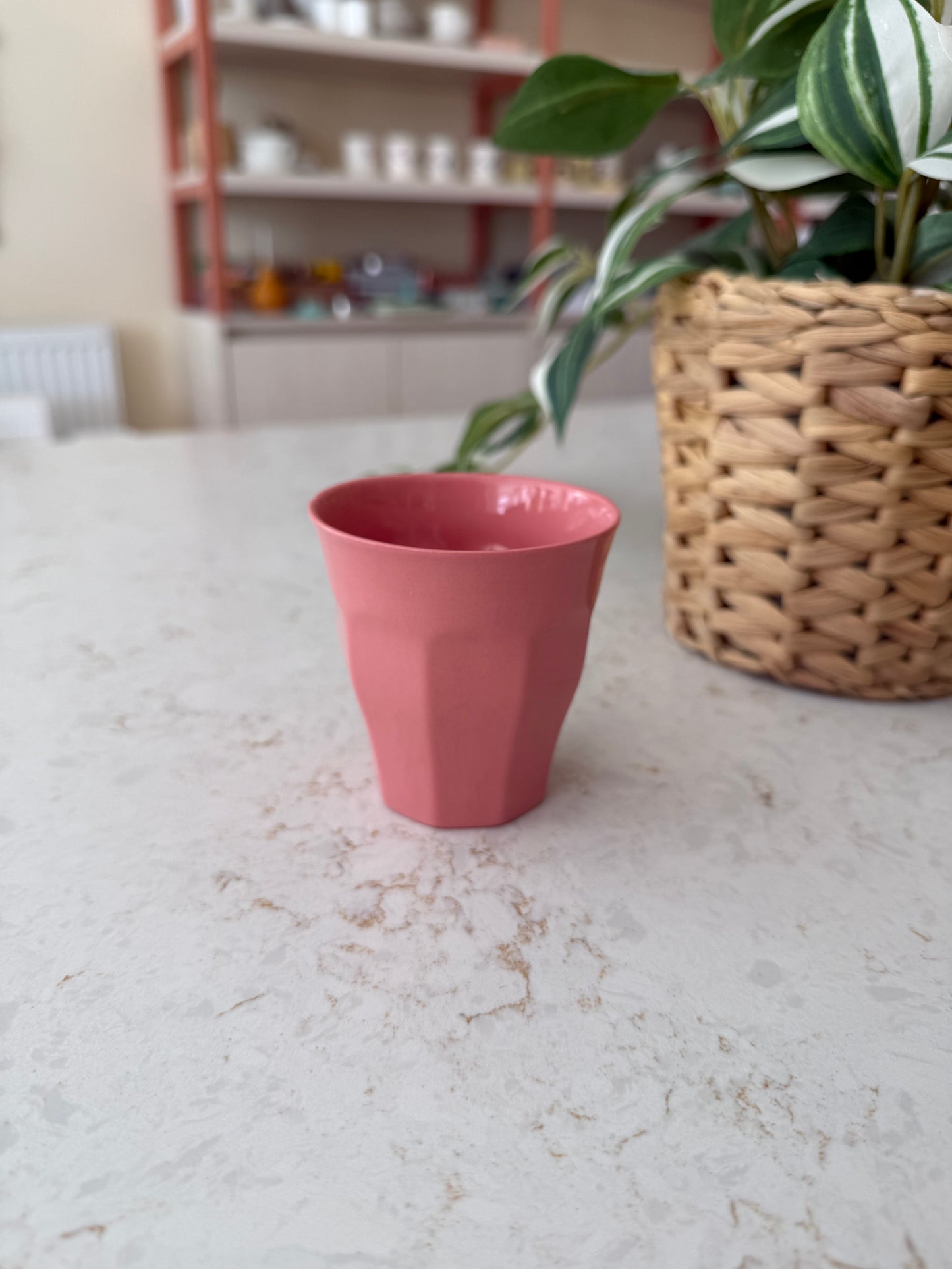 Nordic Cups